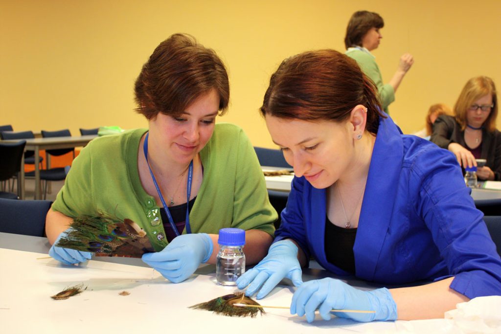 Two students at a workshop repair a feather-based artwork